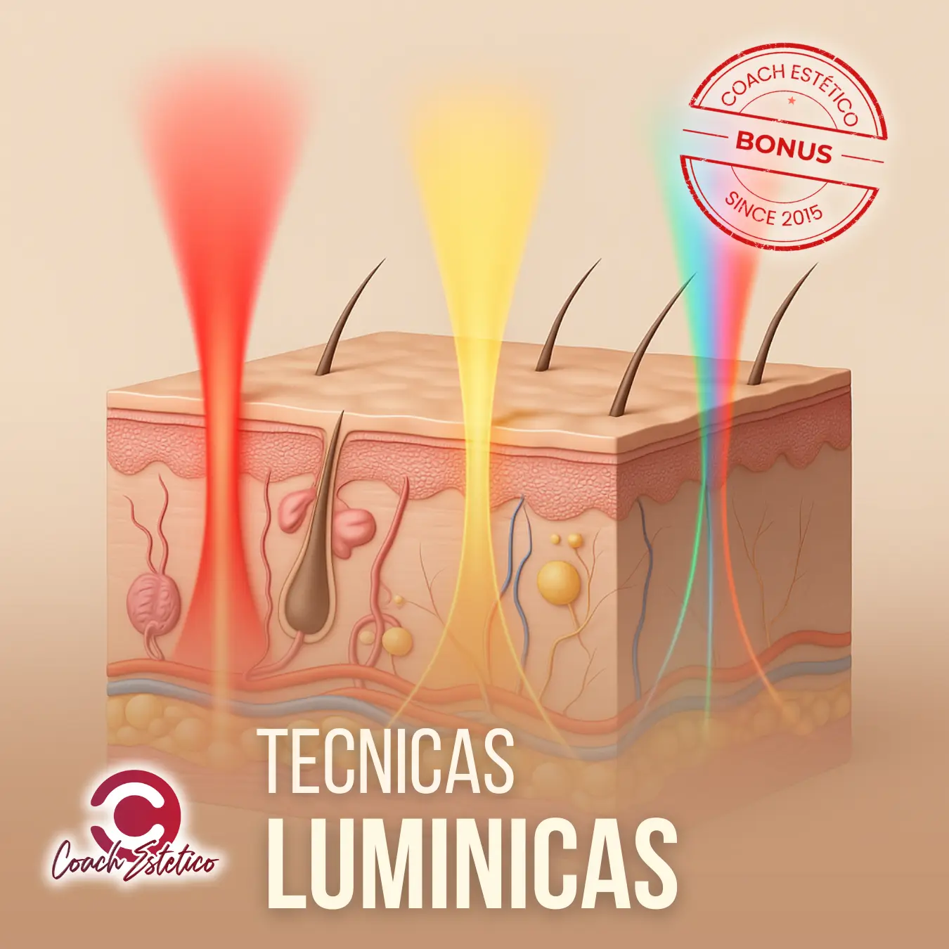 Técnicas Lumínicas